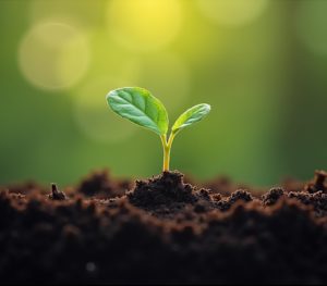 Tout va trop vite ! | Vitalité Zen