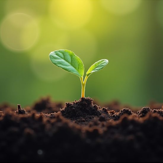 Tout va trop vite ! | Vitalité Zen