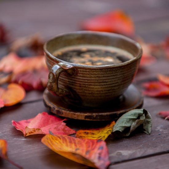 No-vembre : Le mois pour... | Vitalité Zen